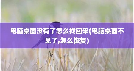 电脑桌面没有了怎么找回来(电脑桌面不见了,怎么恢复)