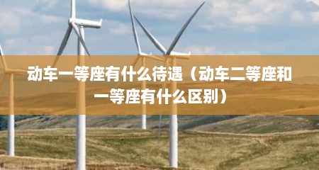 动车一等座有什么待遇（动车二等座和一等座有什么区别）
