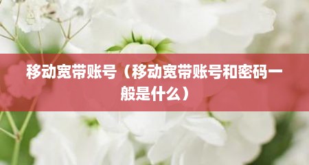 移动宽带账号（移动宽带账号和密码一般是什么）