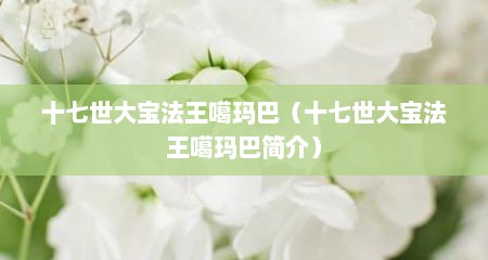 十七世大宝法王噶玛巴（十七世大宝法王噶玛巴简介）