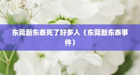 东莞新东泰死了好多人（东莞新东泰事件）