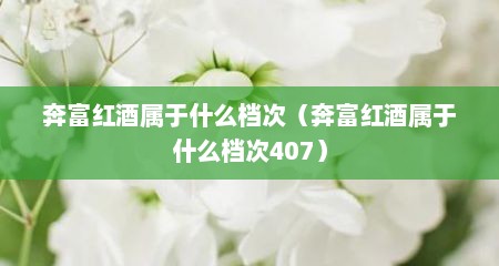 奔富红酒属于什么档次（奔富红酒属于什么档次407）