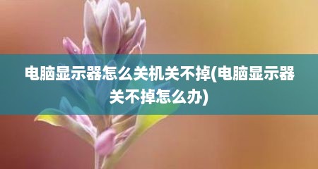 电脑显示器怎么关机关不掉(电脑显示器关不掉怎么办)