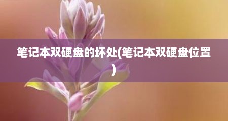 笔记本双硬盘的坏处(笔记本双硬盘位置)
