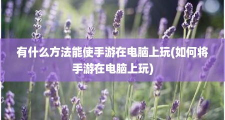 有什么方法能使手游在电脑上玩(如何将手游在电脑上玩)