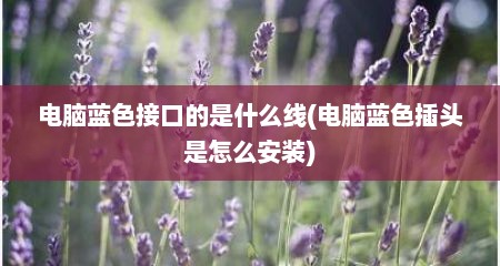 电脑蓝色接口的是什么线(电脑蓝色插头是怎么安装)