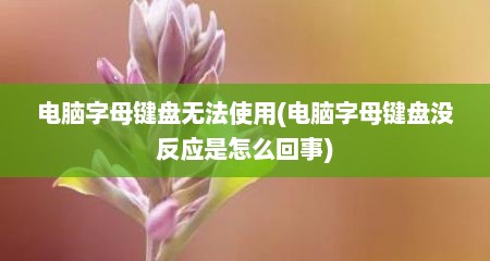 电脑字母键盘无法使用(电脑字母键盘没反应是怎么回事)