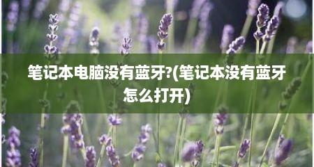 笔记本电脑没有蓝牙?(笔记本没有蓝牙怎么打开)