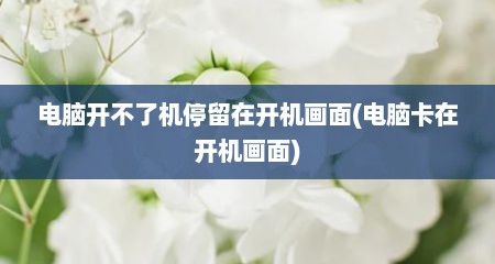 电脑开不了机停留在开机画面(电脑卡在开机画面)