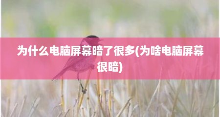 为什么电脑屏幕暗了很多(为啥电脑屏幕很暗)