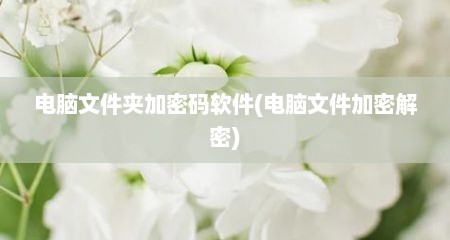 电脑文件夹加密码软件(电脑文件加密解密)