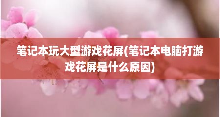 笔记本玩大型游戏花屏(笔记本电脑打游戏花屏是什么原因)