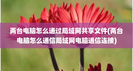 两台电脑怎么通过局域网共享文件(两台电脑怎么通信局域网电脑通信连接)