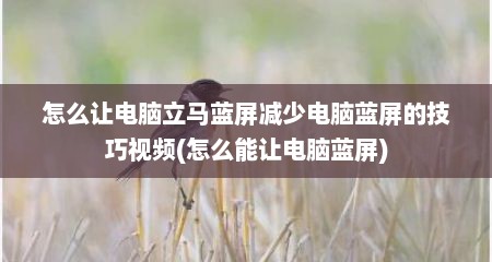 怎么让电脑立马蓝屏减少电脑蓝屏的技巧视频(怎么能让电脑蓝屏)