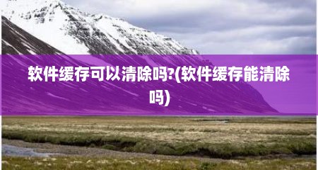 软件缓存可以清除吗?(软件缓存能清除吗)