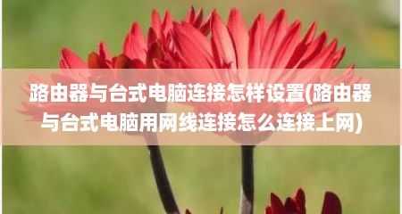路由器与台式电脑连接怎样设置(路由器与台式电脑用网线连接怎么连接上网)