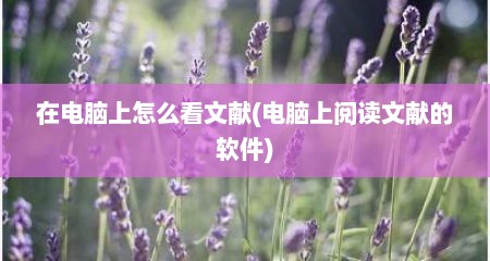 在电脑上怎么看文献(电脑上阅读文献的软件)