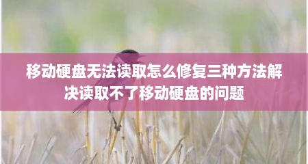 移动硬盘无法读取怎么修复三种方法解决读取不了移动硬盘的问题
