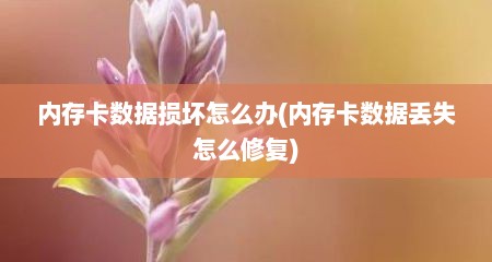 内存卡数据损坏怎么办(内存卡数据丢失怎么修复)