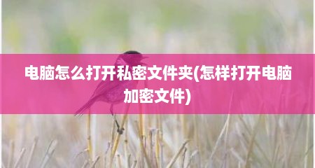 电脑怎么打开私密文件夹(怎样打开电脑加密文件)
