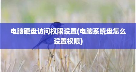 电脑硬盘访问权限设置(电脑系统盘怎么设置权限)