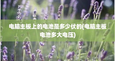 电脑主板上的电池是多少伏的(电脑主板电池多大电压)