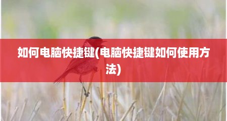 如何电脑快捷键(电脑快捷键如何使用方法)