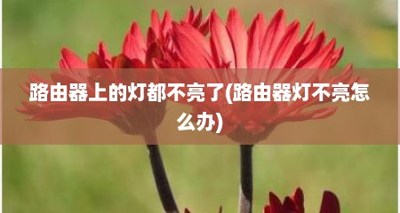 路由器上的灯都不亮了(路由器灯不亮怎么办)