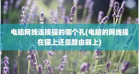 电脑网线连接猫的哪个孔(电脑的网线插在猫上还是路由器上)
