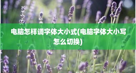 电脑怎样调字体大小式(电脑字体大小写怎么切换)