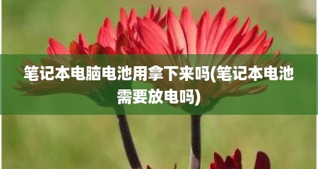 笔记本电脑电池用拿下来吗(笔记本电池需要放电吗)