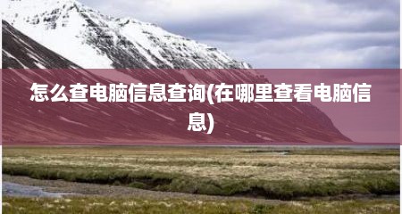 怎么查电脑信息查询(在哪里查看电脑信息)