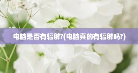 电脑是否有辐射?(电脑真的有辐射吗?)