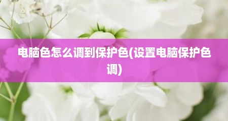 电脑色怎么调到保护色(设置电脑保护色调)