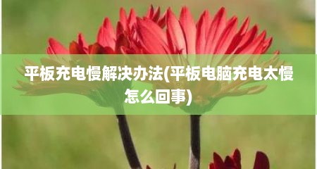 平板充电慢解决办法(平板电脑充电太慢怎么回事)