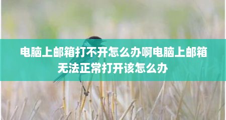 电脑上邮箱打不开怎么办啊电脑上邮箱无法正常打开该怎么办