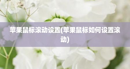 苹果鼠标滚动设置(苹果鼠标如何设置滚动)