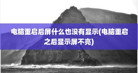 电脑重启后屏什么也没有显示(电脑重启之后显示屏不亮)