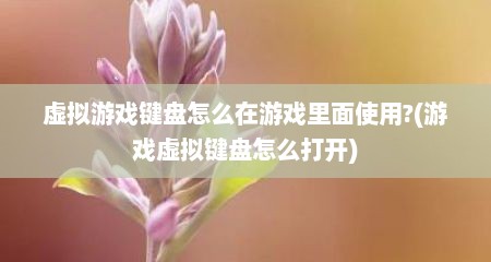 虚拟游戏键盘怎么在游戏里面使用?(游戏虚拟键盘怎么打开)