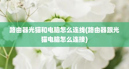 路由器光猫和电脑怎么连线(路由器跟光猫电脑怎么连接)