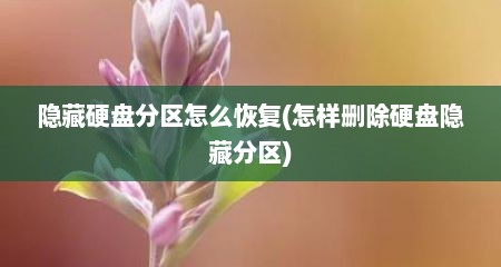 隐藏硬盘分区怎么恢复(怎样删除硬盘隐藏分区)