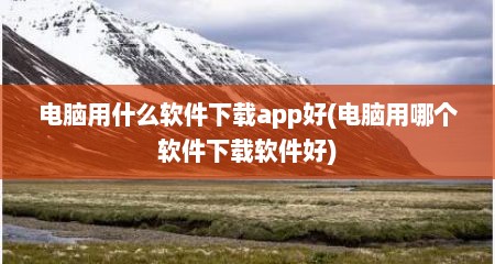 电脑用什么软件下载app好(电脑用哪个软件下载软件好)