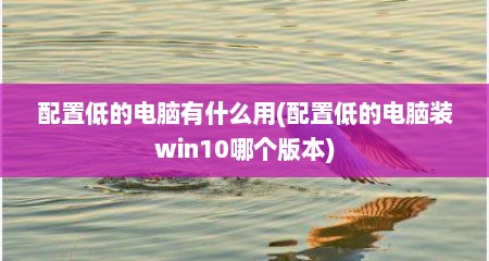 配置低的电脑有什么用(配置低的电脑装win10哪个版本)