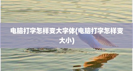 电脑打字怎样变大字体(电脑打字怎样变大小)