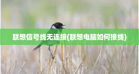 联想信号线无连接(联想电脑如何接线)