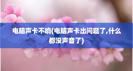 电脑声卡不响(电脑声卡出问题了,什么都没声音了)