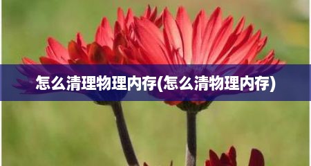 怎么清理物理内存(怎么清物理内存)