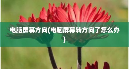 电脑屏幕方向(电脑屏幕转方向了怎么办)