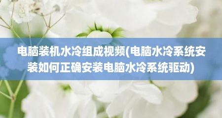 电脑装机水冷组成视频(电脑水冷系统安装如何正确安装电脑水冷系统驱动)