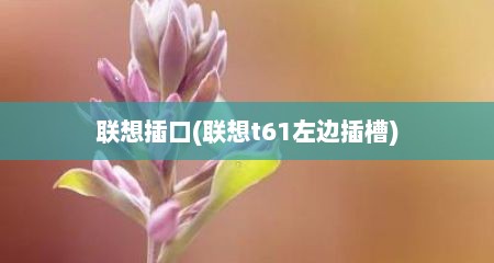 联想插口(联想t61左边插槽)